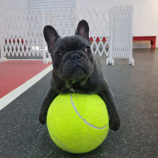 Sirexia - Balle de tennis XXL