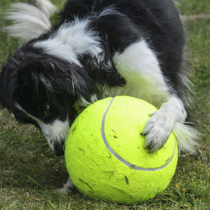 Sirexia - Balle de tennis XXL